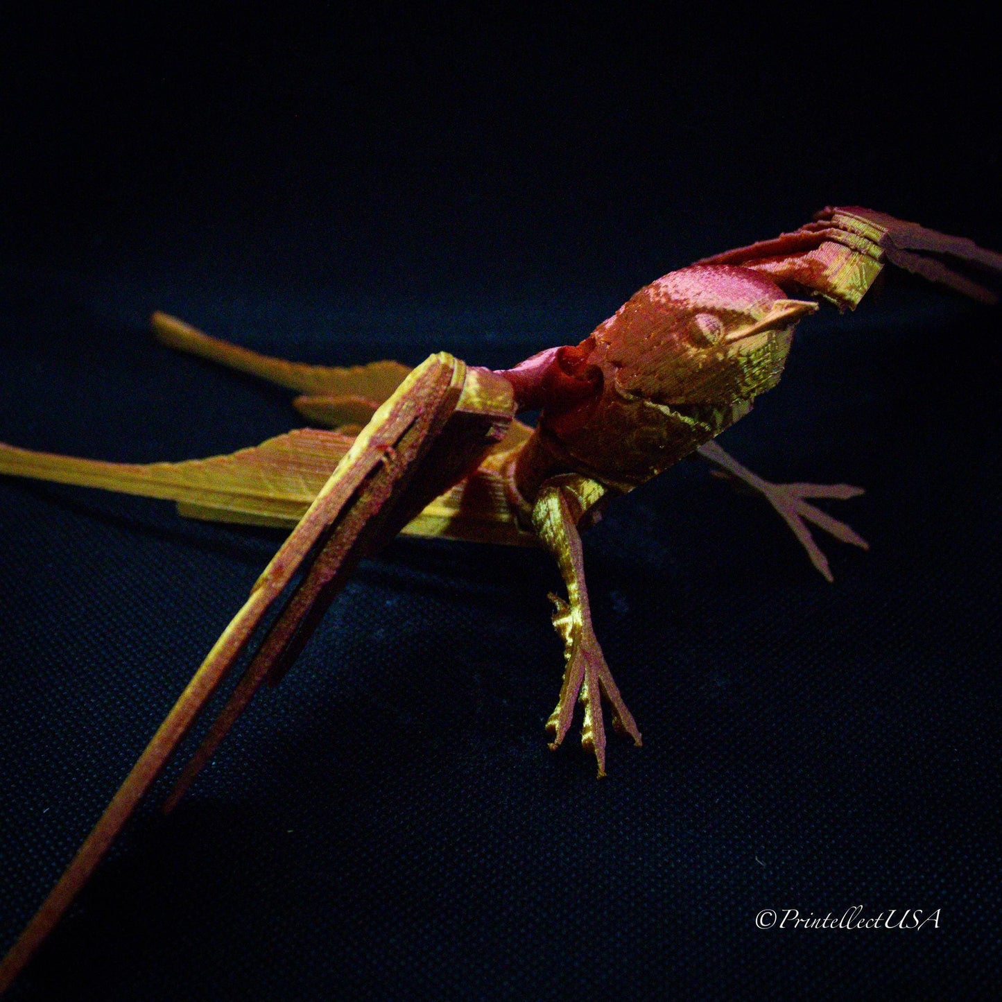 Articulating 3D-Printed Bird / Moveable Sparrow Desk Decor & Fidget Toy